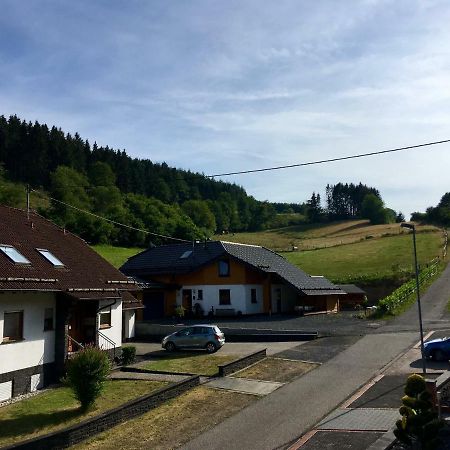 Ferienwohnung Am Nuerburgring/Wintersport Arft Acht Dış mekan fotoğraf