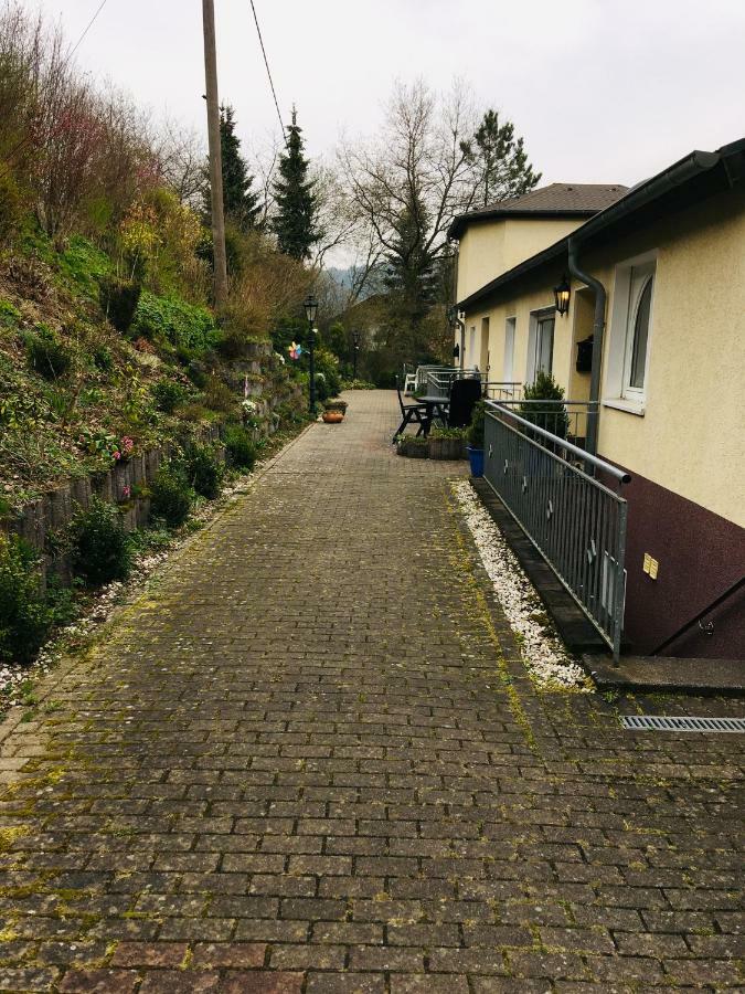Ferienwohnung Am Nuerburgring/Wintersport Arft Acht Dış mekan fotoğraf