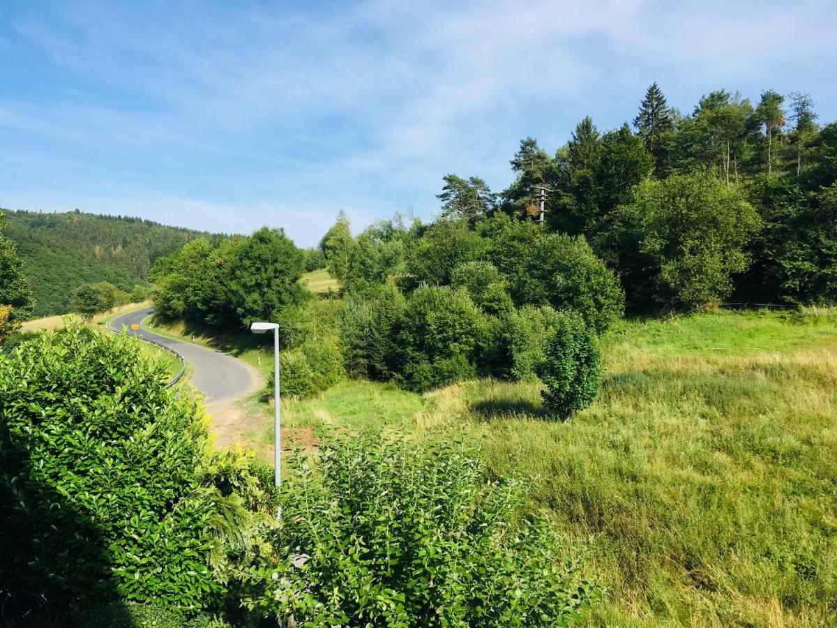 Ferienwohnung Am Nuerburgring/Wintersport Arft Acht Dış mekan fotoğraf
